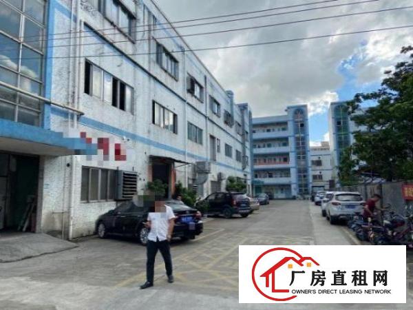  观澜新田环观南路边上整层厂房1450平对外出租
