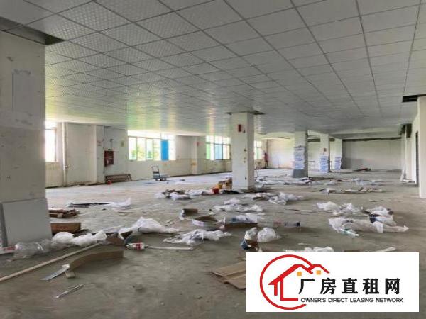  观澜新田环观南路边上整层厂房1450平对外出租