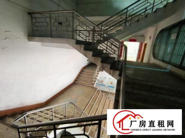  观澜福民龙澜快线旁，原房东红本厂房出租24000平大型园区
