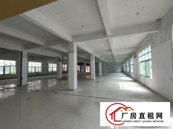  观澜福民龙澜快线旁，原房东红本厂房出租24000平大型园区
