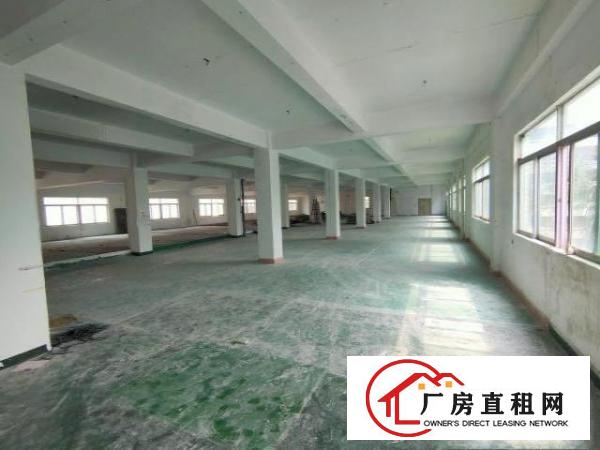  观澜福民龙澜快线旁，原房东红本厂房出租24000平大型园区