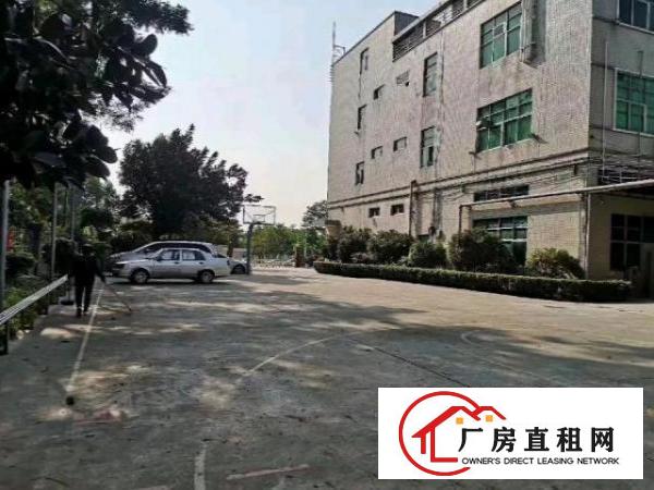  观光路原业主厂房16500平方出租
