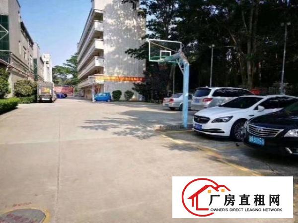  观光路原业主厂房16500平方出租