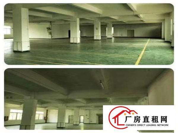  真实:牛湖独院12850平方业主直租
