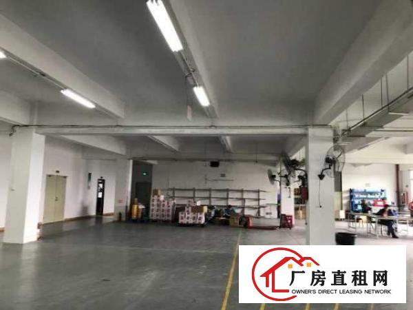  出租龙华观澜办公室/车间/宿舍配套齐全近梅观高速