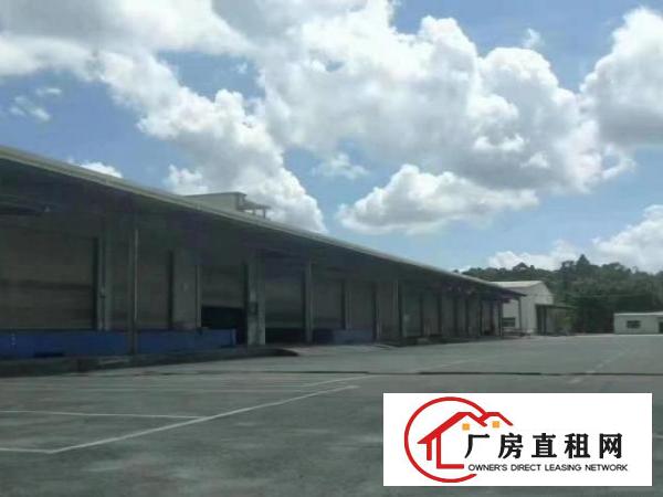  独门独院新出来的厂房层高9米空地大