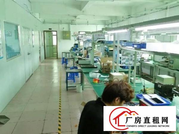  分租，面积230平，另有顶楼花园。看上也可谈整层转让