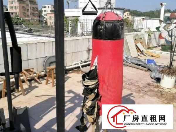  分租，面积230平，另有顶楼花园。看上也可谈整层转让