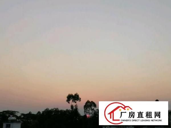 分租，面积230平，另有顶楼花园。看上也可谈整层转让