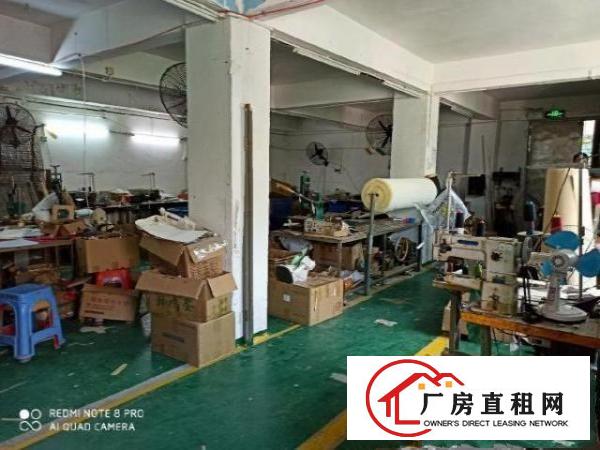  观澜业主直租，楼上现成装修200平