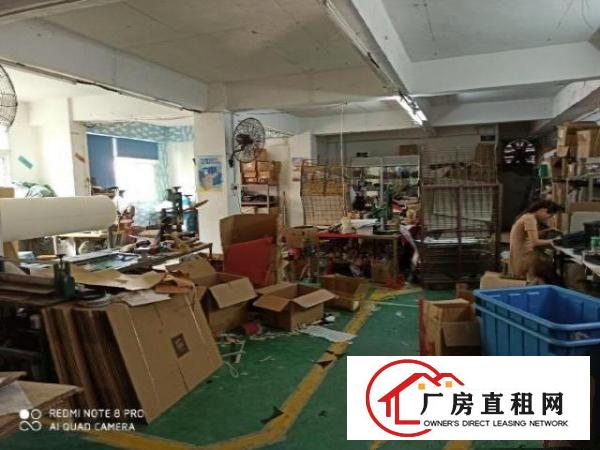  观澜业主直租，楼上现成装修200平