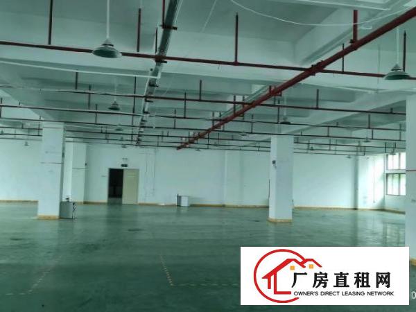  原房东大型花园式厂房2000平方出租
