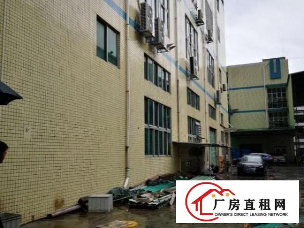  出租观澜樟坑径原房东一楼一整层1400平，带航车可办环评