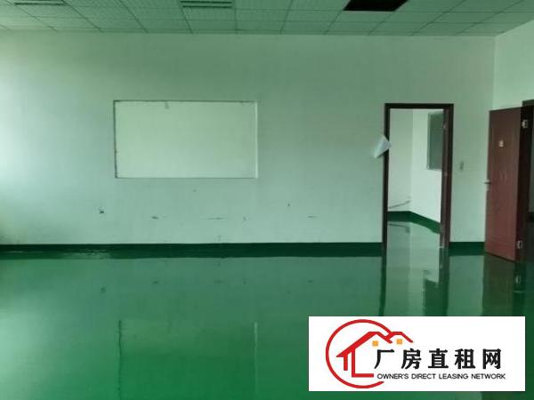  出租观澜新田新出标准厂房1650平带精装修