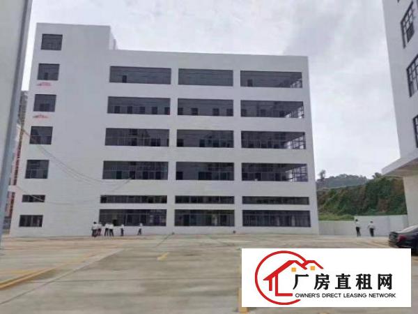  塘厦石马近深圳观兰独院厂房出租大小可分租形像好