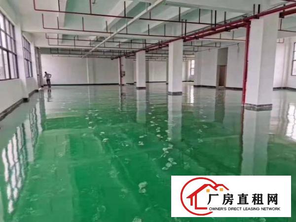  塘厦石马近深圳观兰独院厂房出租大小可分租形像好