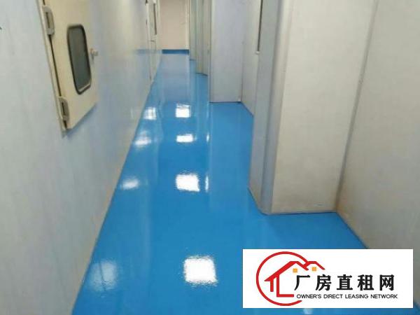  出租龙华区观澜观平路171号物通工业园