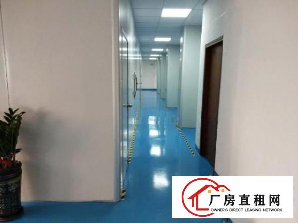  出租龙华区观澜观平路171号物通工业园