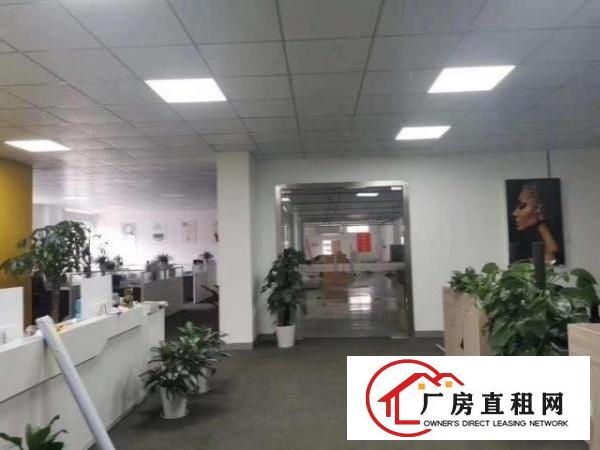  观澜牛湖2600平豪华装修厂房招租，可分租，办公，加工皆可