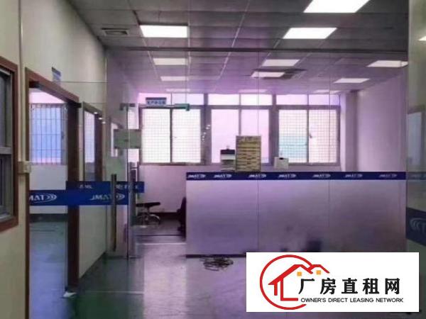  观澜新田一楼1600平厂房，精装办公室，水电齐全，可分租