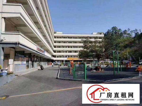  观澜新田一楼1600平厂房，精装办公室，水电齐全，可分租