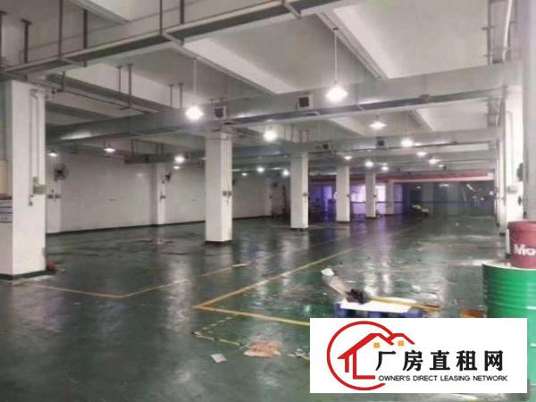 观澜新田一楼1600平厂房，精装办公室，水电齐全，可分租