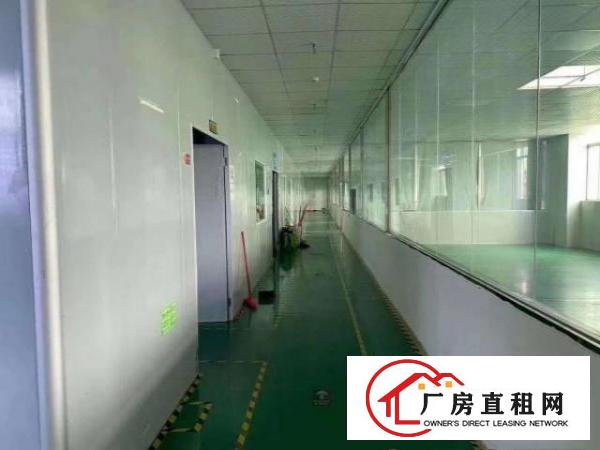  出租观澜楼上整层3000平方，带精装修办公室，地坪漆