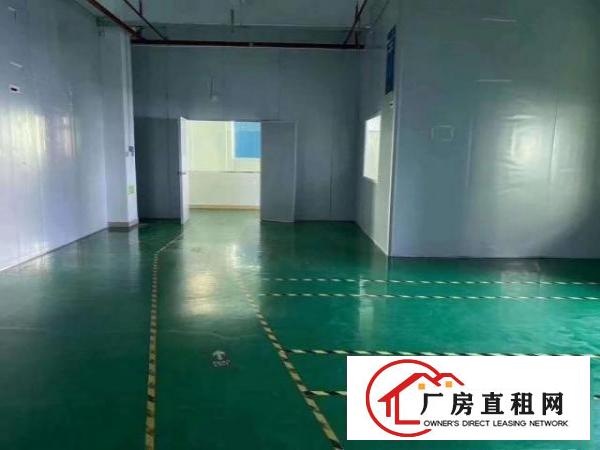 出租观澜楼上整层3000平方，带精装修办公室，地坪漆