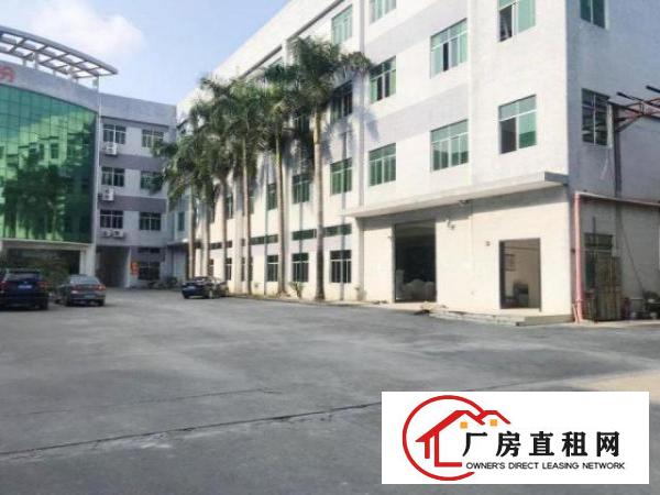  笋盘深圳观澜楼上地坪漆2000方，豪华办公室，空地大进大车