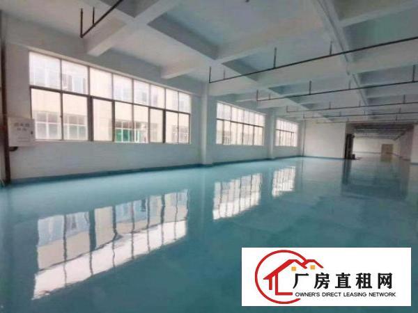 笋盘深圳观澜楼上地坪漆2000方，豪华办公室，空地大进大车