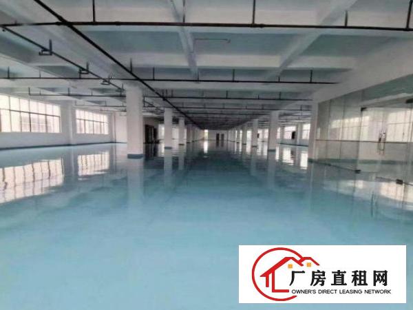  笋盘深圳观澜楼上地坪漆2000方，豪华办公室，空地大进大车