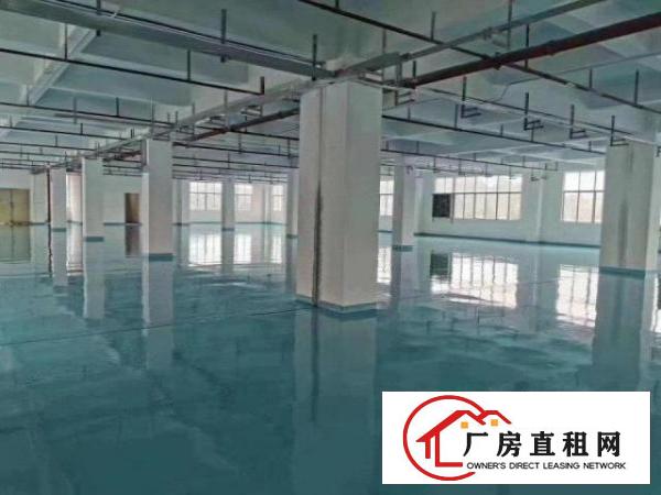 笋盘深圳观澜楼上地坪漆2000方，豪华办公室，空地大进大车
