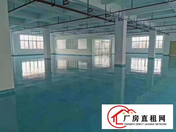  笋盘深圳观澜楼上地坪漆2000方，豪华办公室，空地大进大车