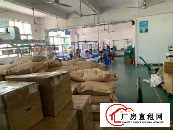  观澜新田原房东精装修厂房出租。
