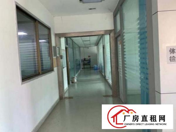  观澜新田原房东精装修厂房出租。