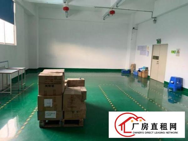  章阁原房东花园式精装修厂房可分租200-500m²大小可分租