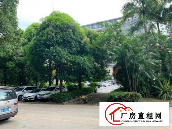 章阁原房东花园式精装修厂房可分租200-500m²大小可分租