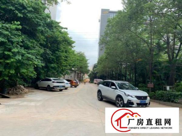  章阁原房东花园式精装修厂房可分租200-500m²大小可分租