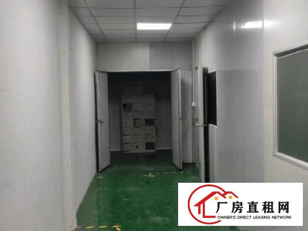  观澜桂花小面积厂房出租带装修