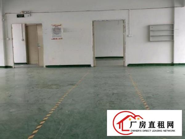  观澜桂花小面积厂房出租带装修