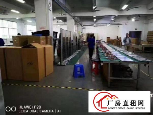  观澜樟阁2400平方厂房