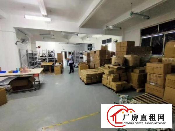  龙华观澜桂花楼上带办公室装修厂房650平带办公室装修