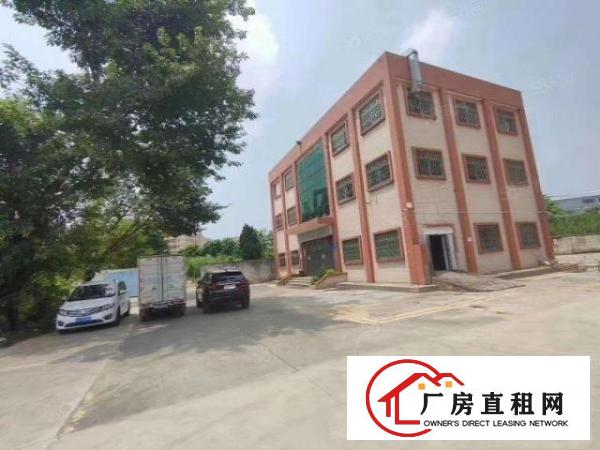  观澜一栋办公楼展厅厂房出租三层1100平方带装修