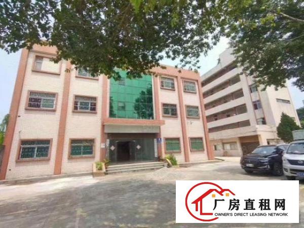  观澜一栋办公楼展厅厂房出租三层1100平方带装修