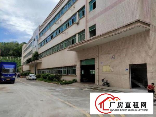  出租观澜一楼3000平厂房可分租