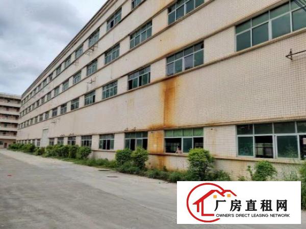  出租观澜一楼3000平厂房可分租