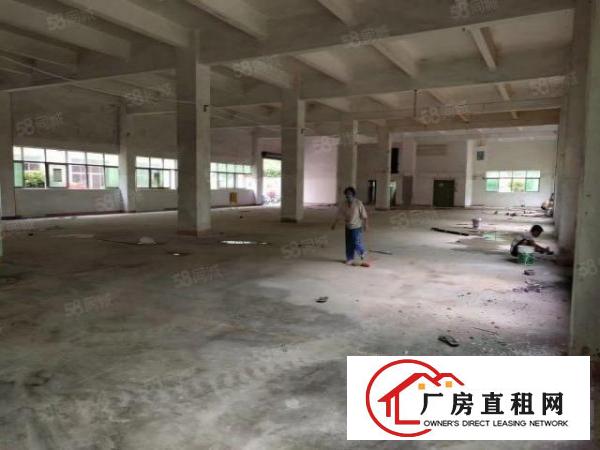  出租观澜一楼3000平厂房可分租
