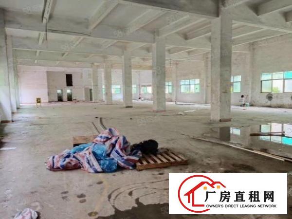  出租观澜一楼3000平厂房可分租