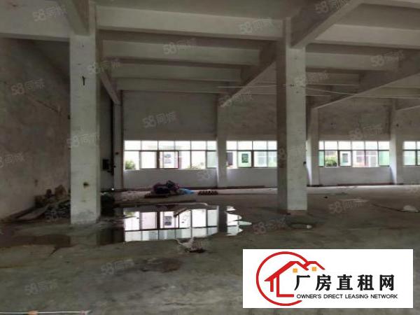  出租观澜一楼3000平厂房可分租