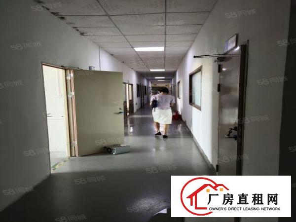 930平标准厂房，精装修带办公室，水电齐全